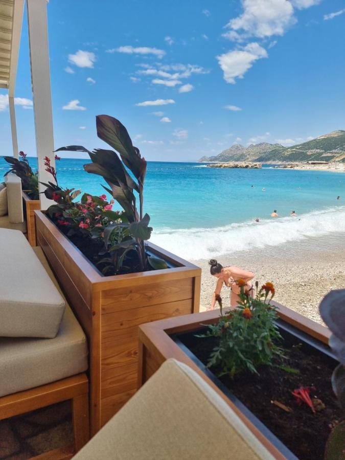 Ebra Lux Apartmani دوبرا فوفا المظهر الخارجي الصورة